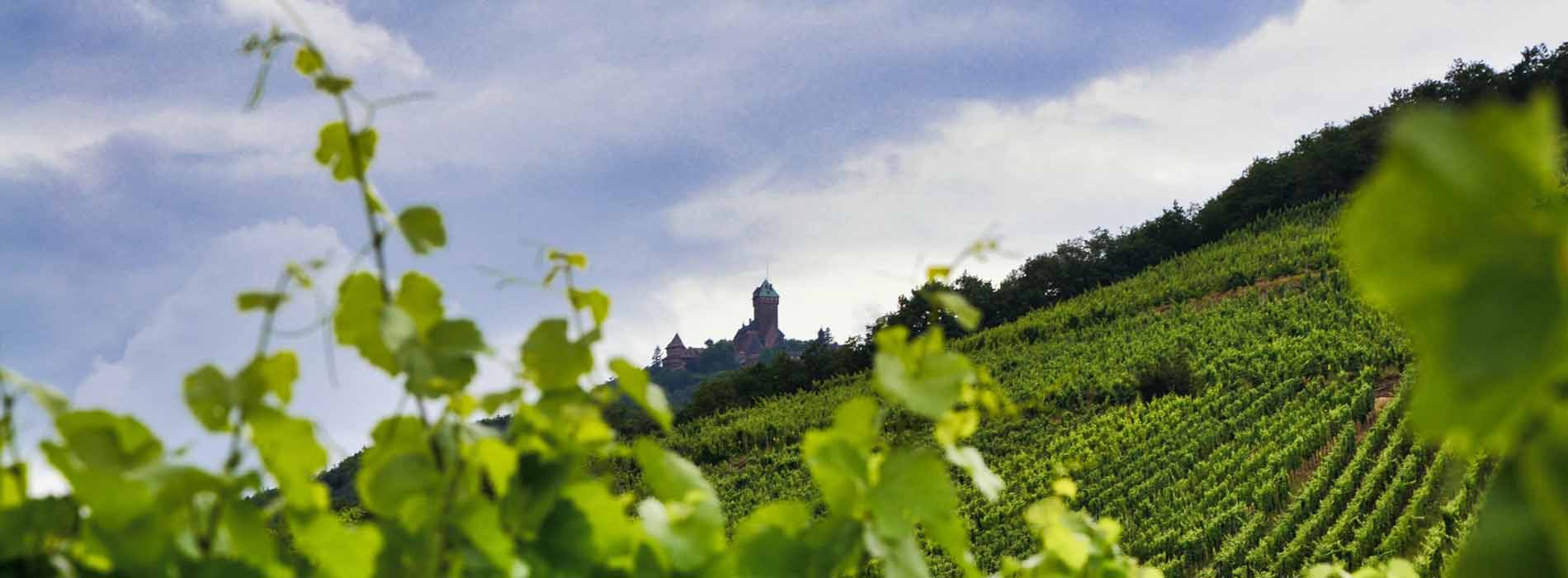 Gîte Haut-Rhin